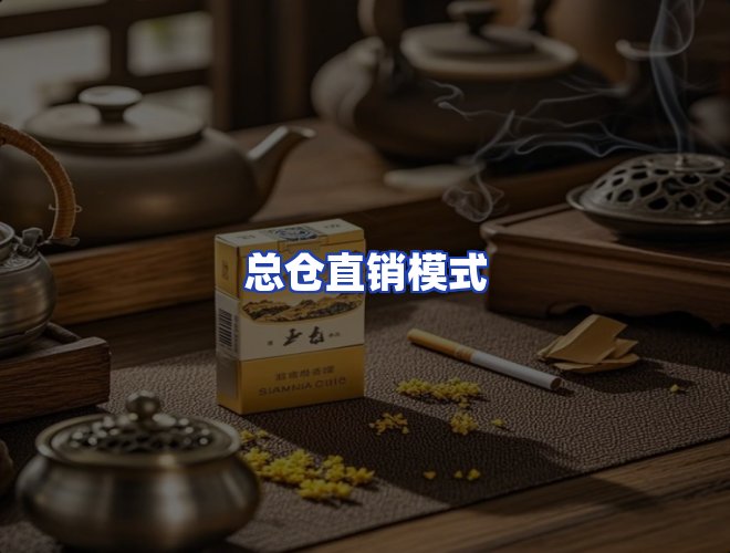 专业团队